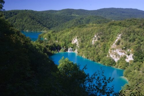 Plitvice Kroatië  Zomer Waterval Water Vissen Vakantie Plitvice Kroatie Kalk Helder Blauw 