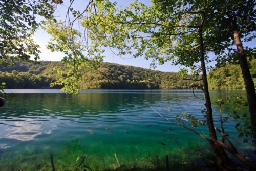 Plitvice Kroatië  Zomer Waterval Water Vissen Vakantie Plitvice Kroatie Kalk Helder Blauw 