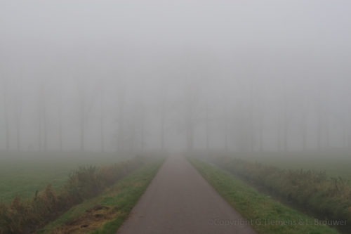 Mistige wandeling in Wageningen Nederland  Wandeling Wageningen Mist Binnenveld 