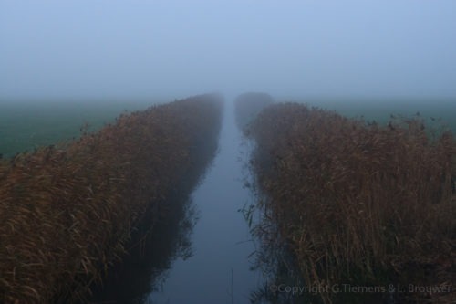 Mistige wandeling in Wageningen Nederland  Wandeling Wageningen Mist Binnenveld 