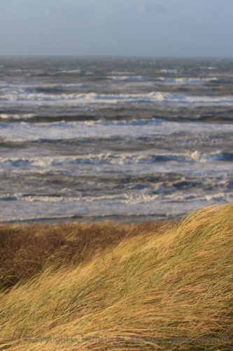 Storm aan het strand Strand en duinen  Wind Stuiven Strand Storm Noordwijkerhout Noordwijk Golven Duinen 