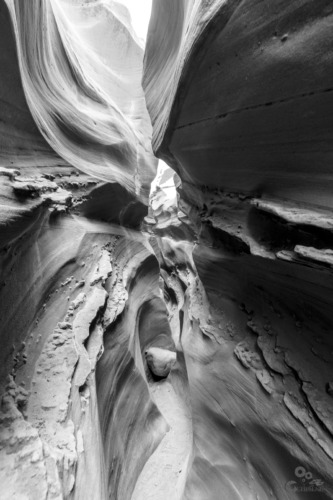 Escalante National Monument Utah  slot canyon Peek a boo slotcanyon Escalante national monument Dinosaur track Devils garden 