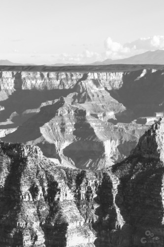 Grand Canyon North Rim Arizona  North Rim Grand Canyon Bizons 