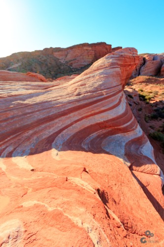 Valley of Fire, Nevada Nevada  Woestijn Valley of Fire The Wave Las Vegas 